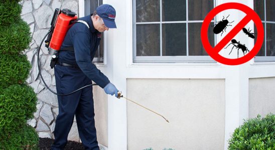 Vize Bit İlaçlama böcek ilaçlama ve haşere kontrolü — ilaclama-tr.com